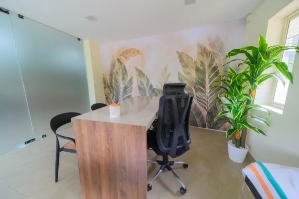 Private consulting room with desk and leaf mural at Harmony of Hormones